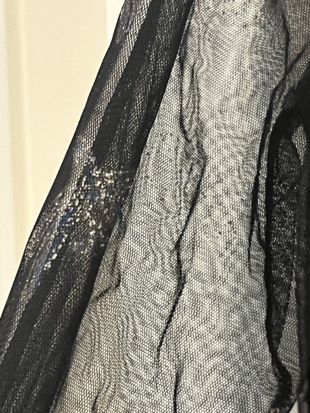 Victoria Jones Black Mesh Top with Silver Dragonfly Embellishments - Picture 3 of 12